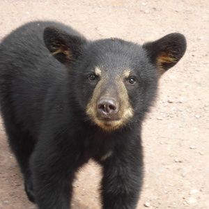 Meet your Posher...Hi its Hiedi-beth